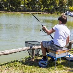 Camping Free Time - Camping Livourne
