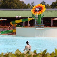 Camping Free Time - Camping Livourne