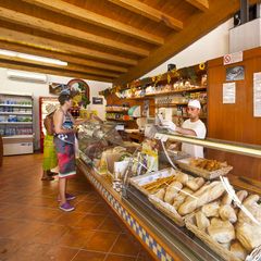 Camping Free Time - Camping Livourne