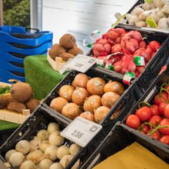 Camping Village Marina Julia  - Camping Gorizia