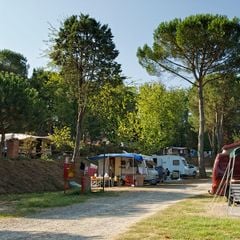 Camping Toscana Holiday Village - Camping Pise