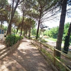 Camping Toscana Holiday Village - Camping Pise