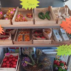 Parc de Loisirs Le Faillal - Camping Tarn-et-Garonne