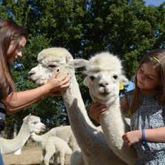 Camping Au Lac d'Hautibus - Camping Deux-Sevres