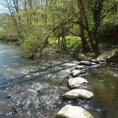 Camping Au Lac d'Hautibus - Camping Deux-Sevres