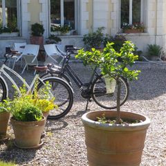 Camping Chateau de Bouafles - Camping Eure