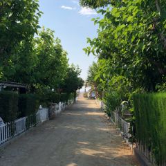 Camping Miramar - Camping Tarragone