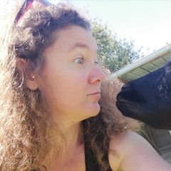 Camping Le Casties - Camping Haute-Garonne