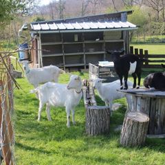 Camping Le Casties - Camping Haute-Garonne