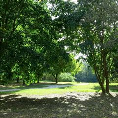 Camping Bellerive - Camping Gard