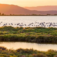 Camping Playa Y Fiesta - Camping Tarragone