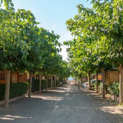 Camping Playa Y Fiesta - Camping Tarragone