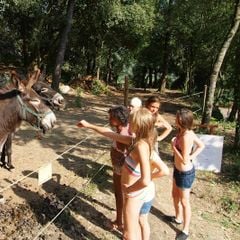 Les Pinèdes - Camping Sites et Paysages - Camping Alpes-Maritimes Les Pinèdes - Camping Sites et Paysages - Camping Alpes-Maritimes