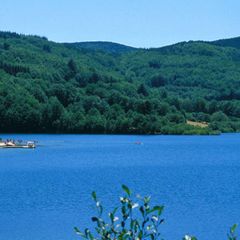 Camping Les Fées du Lac  - Camping Tarn