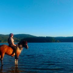Camping Les Fées du Lac  - Camping Tarn