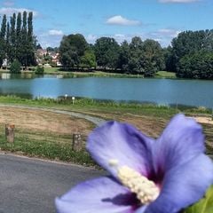 Camping Le Moulin Des Effres - Camping Deux-Sevres