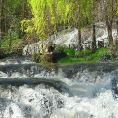 Camping Lago Resort - Camping Saragosse