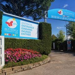 Camping Village Butterfly - Camping Vérone