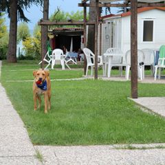 San Benedetto Camping Relais - Camping Vérone