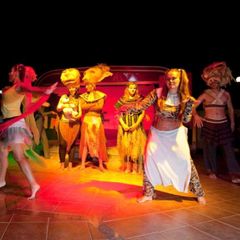 Camping Bijela Uvala  - Camping Istrie