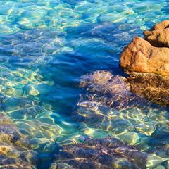 Camping Rais Gerbi - Camping Savone