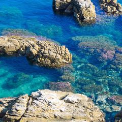 Camping Rais Gerbi - Camping Savone