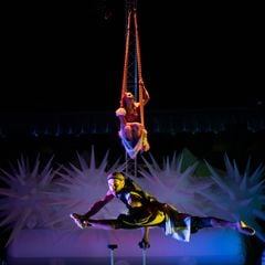 Camping Adriano - Camping Ravenne