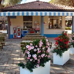 Camping Principina - Camping Grosseto