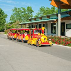 Camping Village Rosapineta - Camping Rovigo