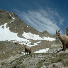 Camping les Templiers - Camping Alpes-Maritimes Camping les Templiers - Camping Alpes-Maritimes