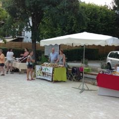 Camping les Templiers - Camping Alpes-Maritimes Camping les Templiers - Camping Alpes-Maritimes