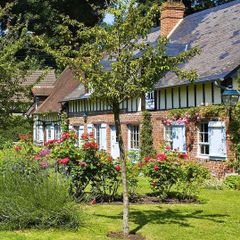 Camping Vitamin - Camping Seine-Maritime