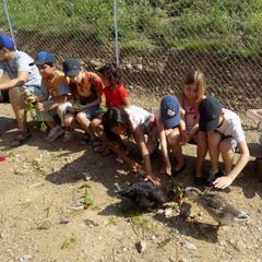 Camping Domaine Vallée Du Tarn - Camping Tarn