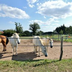 Camping Domaine Vallée Du Tarn - Camping Tarn