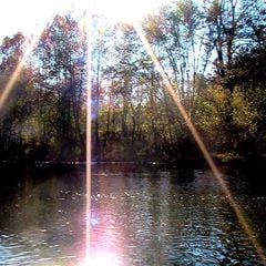 Camping Le Verdillé - Camping Loire