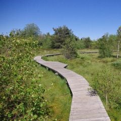 Camping Le Verdillé - Camping Loire