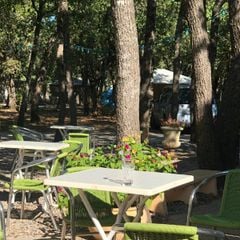 Camping Domaine des Chenes Blancs - Camping Vaucluse