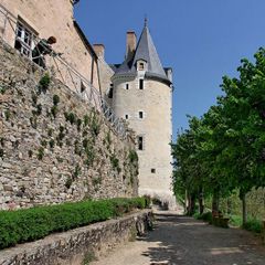 Glamping Sainte Suzanne  - Camping Mayenne