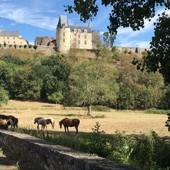 Glamping Sainte Suzanne  - Camping Mayenne