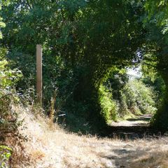 Glamping Sainte Suzanne  - Camping Mayenne