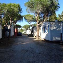 Camping International du Roussillon - Camping Pirineos Orientales