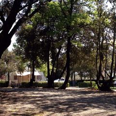 Camping Boschetto di piemma - Camping Sienne