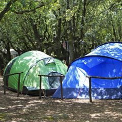 Camping Boschetto di piemma - Camping Sienne