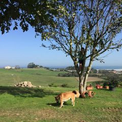 Camping Caravaning Playa de Oyambre - Camping Marches-Italie