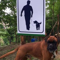 Camping Colleverde - Camping Sienne