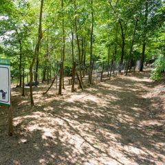 Camping Colleverde - Camping Sienne