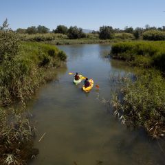 Camping El Riu - Camping Gérone