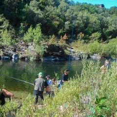 Camping Les Gorges de l'Herault - Camping Gard