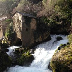 Camping Les Gorges de l'Herault - Camping Gard