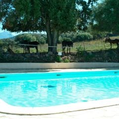 Camping U Sommalu - Camping Zuid-Corsica